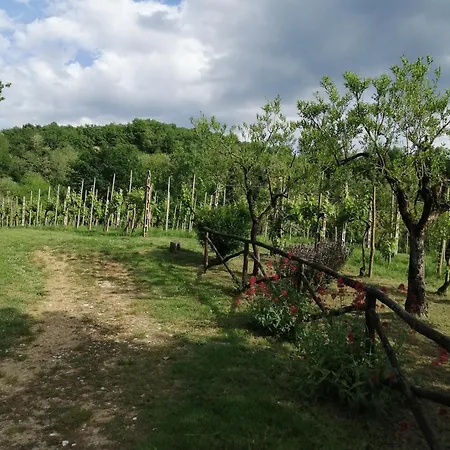 Bellosguardo * Figline Valdarno