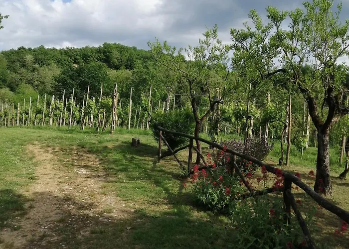 Bellosguardo * Figline Valdarno
